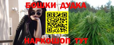 тгк Обь