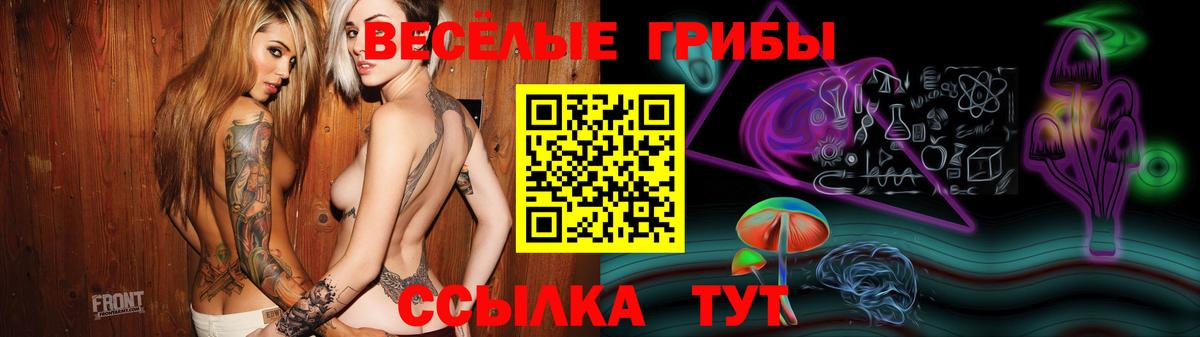 Тосно  Псилоцибиновые грибы мухоморы  Вход с VPN  Псилоцибиновые грибы MAGIC MUSHROOMS 