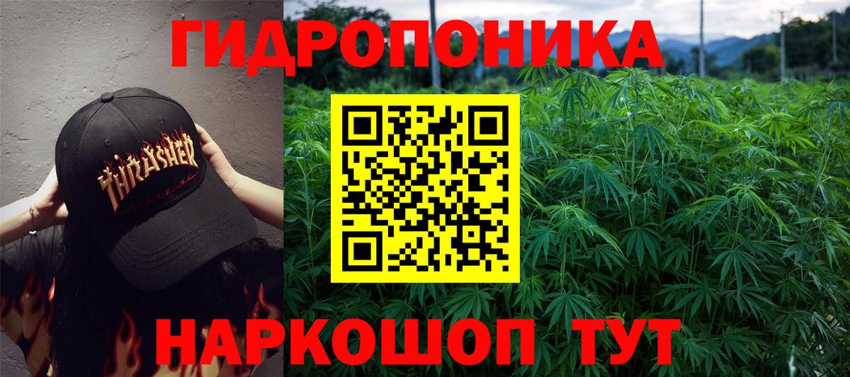 Каннабис конопля  Вход с VPN  Конопля сатива  Каннабис LSD WEED  Тосно 